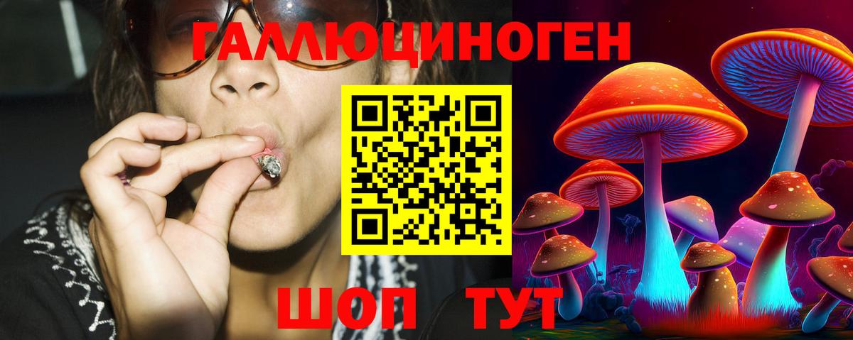 Псилоцибиновые грибы Cubensis  Псилоцибиновые грибы прущие грибы  Холмск  Вход с VPN 