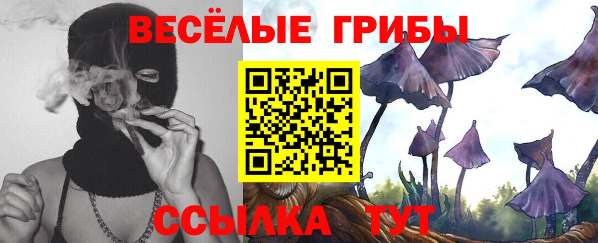 Галлюциногенные грибы прущие грибы Холмск